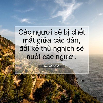 Picture 07 - Lê-vi 26:38 VIE - Các ngươi sẽ bị chết mất giữa các - Bible Verse Picture