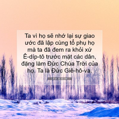 Picture 07 - Lê-vi 26:45 VIE - Ta vì họ sẽ nhớ lại sự giao ước - Bible Verse Picture
