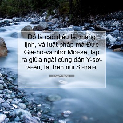 Picture 07 - Lê-vi 26:46 VIE - Đó là các điều lệ, mạng lịnh, và - Bible Verse Picture