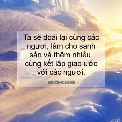 Picture 07 - Lê-vi 26:9 VIE - Ta sẽ đoái lại cùng các ngươi, làm cho - Bible Verse Picture