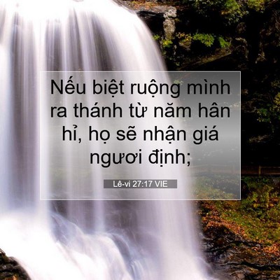 Picture 07 - Lê-vi 27:17 VIE - Nếu biệt ruộng mình ra thánh từ năm - Bible Verse Picture