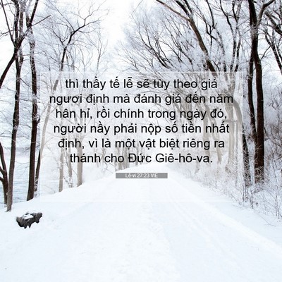 Picture 07 - Lê-vi 27:23 VIE - thì thầy tế lễ sẽ tùy theo giá ngươi - Bible Verse Picture