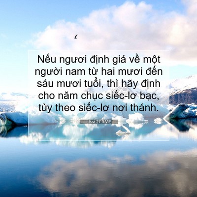 Picture 07 - Lê-vi 27:3 VIE - Nếu ngươi định giá về một người - Bible Verse Picture