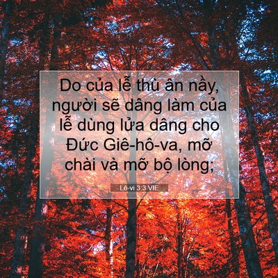Picture 07 - Lê-vi 3:3 VIE - Do của lễ thù ân nầy, người sẽ dâng - Bible Verse Picture