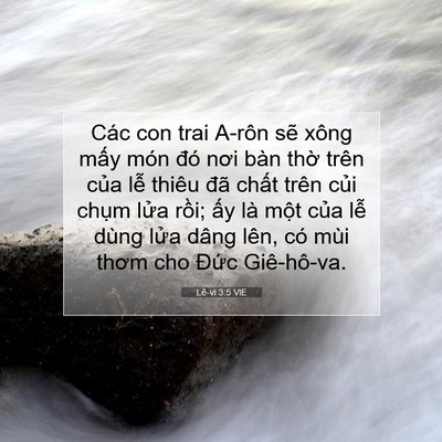 Picture 07 - Lê-vi 3:5 VIE - Các con trai A-rôn sẽ xông mấy món đó - Bible Verse Picture