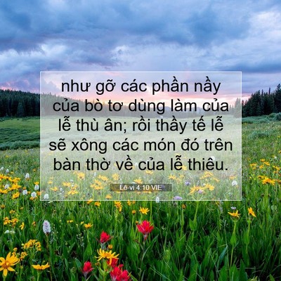 Picture 07 - Lê-vi 4:10 VIE - như gỡ các phần nầy của bò tơ dùng - Bible Verse Picture