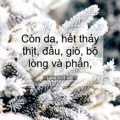 Picture 07 - Lê-vi 4:11 VIE - Còn da, hết thảy thịt, đầu, giò, bộ - Bible Verse Picture