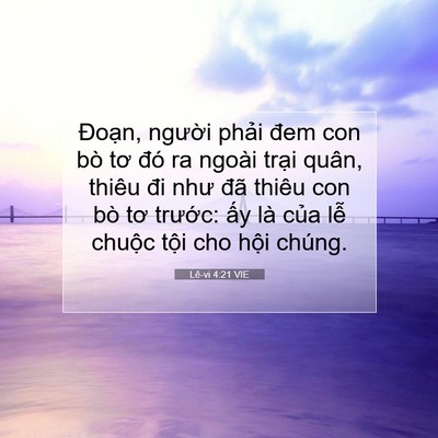 Picture 07 - Lê-vi 4:21 VIE - Đoạn, người phải đem con bò tơ đó ra - Bible Verse Picture