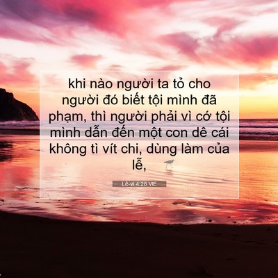 Picture 07 - Lê-vi 4:28 VIE - khi nào người ta tỏ cho người đó - Bible Verse Picture