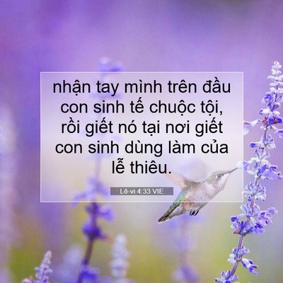 Picture 07 - Lê-vi 4:33 VIE - nhận tay mình trên đầu con sinh tế - Bible Verse Picture
