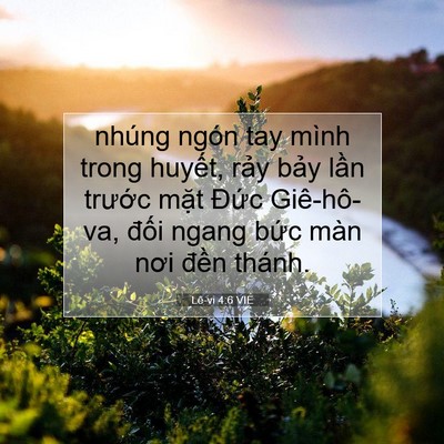 Picture 07 - Lê-vi 4:6 VIE - nhúng ngón tay mình trong huyết, rảy bảy - Bible Verse Picture