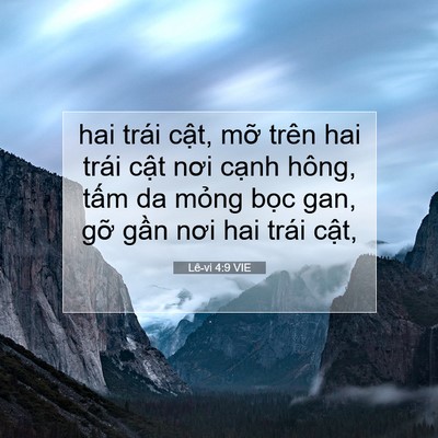Picture 07 - Lê-vi 4:9 VIE - hai trái cật, mỡ trên hai trái cật nơi - Bible Verse Picture