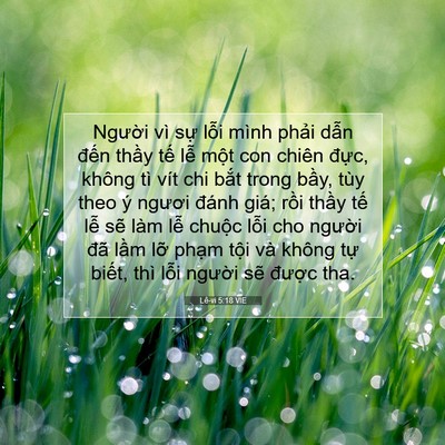Picture 07 - Lê-vi 5:18 VIE - Người vì sự lỗi mình phải dẫn đến - Bible Verse Picture