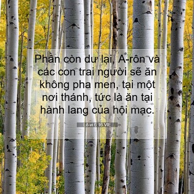 Picture 07 - Lê-vi 6:16 VIE - Phần còn dư lại, A-rôn và các con trai - Bible Verse Picture