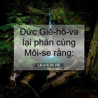 Picture 07 - Lê-vi 6:24 VIE - Đức Giê-hô-va lại phán cùng Môi-se - Bible Verse Picture