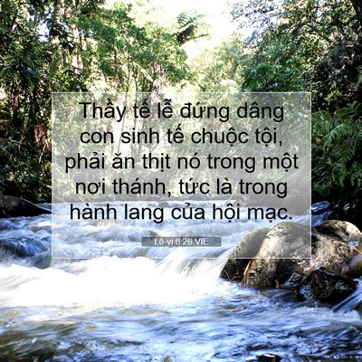 Picture 07 - Lê-vi 6:26 VIE - Thầy tế lễ đứng dâng con sinh tế - Bible Verse Picture