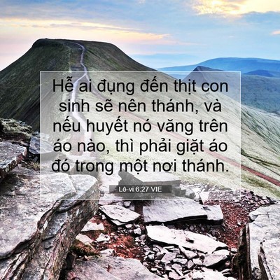 Picture 07 - Lê-vi 6:27 VIE - Hễ ai đụng đến thịt con sinh sẽ nên - Bible Verse Picture