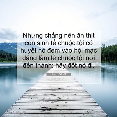 Picture 07 - Lê-vi 6:30 VIE - Nhưng chẳng nên ăn thịt con sinh tế - Bible Verse Picture