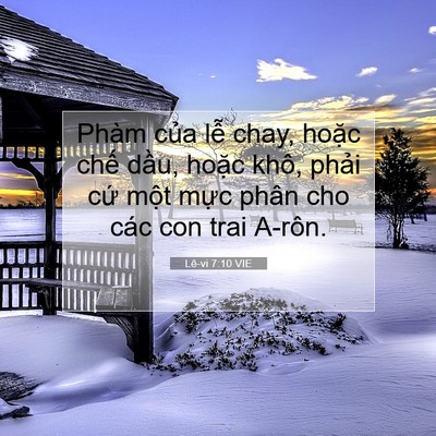Picture 07 - Lê-vi 7:10 VIE - Phàm của lễ chay, hoặc chế dầu, hoặc - Bible Verse Picture