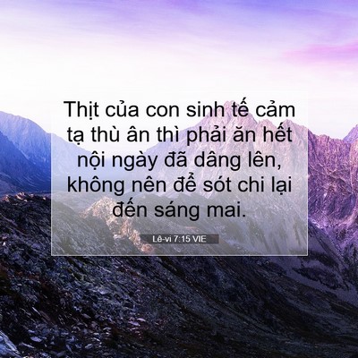 Picture 07 - Lê-vi 7:15 VIE - Thịt của con sinh tế cảm tạ thù ân - Bible Verse Picture