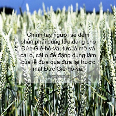 Picture 07 - Lê-vi 7:30 VIE - Chính tay người sẽ đem phần phải dùng - Bible Verse Picture