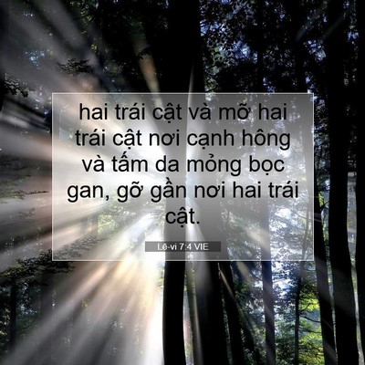 Picture 07 - Lê-vi 7:4 VIE - hai trái cật và mỡ hai trái cật nơi - Bible Verse Picture