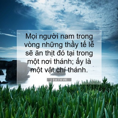 Picture 07 - Lê-vi 7:6 VIE - Mọi người nam trong vòng những thầy - Bible Verse Picture