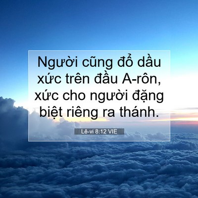 Picture 07 - Lê-vi 8:12 VIE - Người cũng đổ dầu xức trên đầu - Bible Verse Picture
