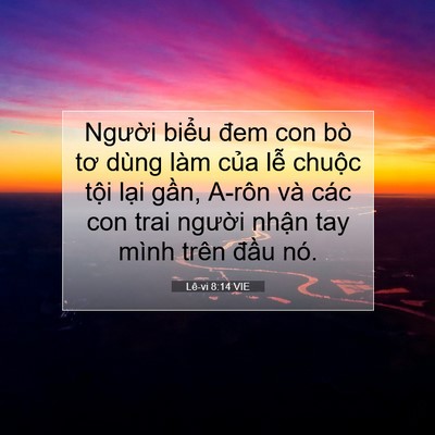Picture 07 - Lê-vi 8:14 VIE - Người biểu đem con bò tơ dùng làm của - Bible Verse Picture