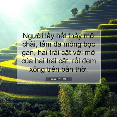 Picture 07 - Lê-vi 8:16 VIE - Người lấy hết thảy mỡ chài, tấm da - Bible Verse Picture