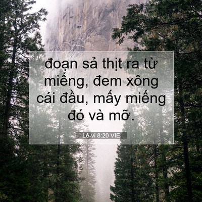 Picture 07 - Lê-vi 8:20 VIE - đoạn sả thịt ra từ miếng, đem xông - Bible Verse Picture