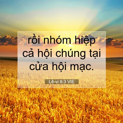 Picture 07 - Lê-vi 8:3 VIE - rồi nhóm hiệp cả hội chúng tại cửa - Bible Verse Picture
