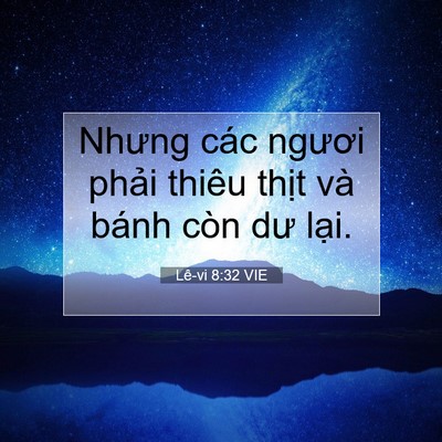 Picture 07 - Lê-vi 8:32 VIE - Nhưng các ngươi phải thiêu thịt và - Bible Verse Picture