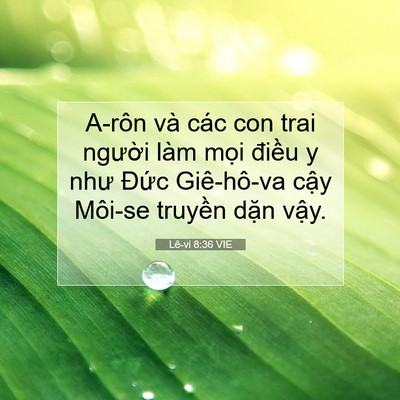 Picture 07 - Lê-vi 8:36 VIE - A-rôn và các con trai người làm mọi - Bible Verse Picture