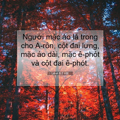 Picture 07 - Lê-vi 8:7 VIE - Người mặc áo lá trong cho A-rôn, cột - Bible Verse Picture