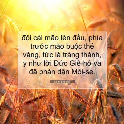 Picture 07 - Lê-vi 8:9 VIE - đội cái mão lên đầu, phía trước mão - Bible Verse Picture