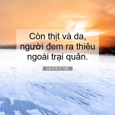 Picture 07 - Lê-vi 9:11 VIE - Còn thịt và da, người đem ra thiêu - Bible Verse Picture