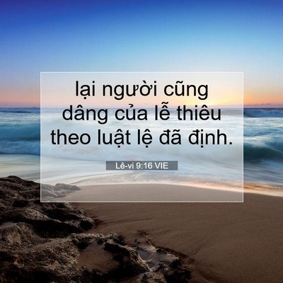 Picture 07 - Lê-vi 9:16 VIE - lại người cũng dâng của lễ thiêu theo - Bible Verse Picture