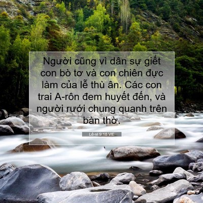 Picture 07 - Lê-vi 9:18 VIE - Người cũng vì dân sự giết con bò tơ - Bible Verse Picture