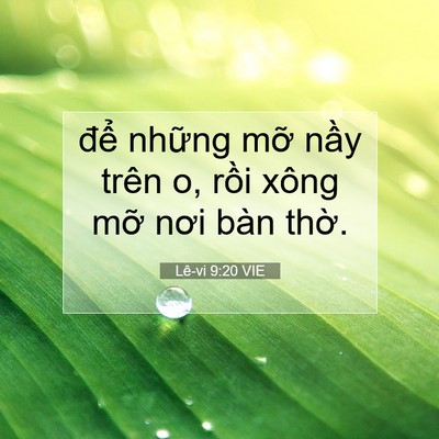 Picture 07 - Lê-vi 9:20 VIE - để những mỡ nầy trên o, rồi xông - Bible Verse Picture