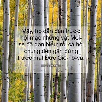 Picture 07 - Lê-vi 9:5 VIE - Vậy, họ dẫn đến trước hội mạc - Bible Verse Picture