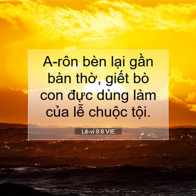Picture 07 - Lê-vi 9:8 VIE - A-rôn bèn lại gần bàn thờ, giết bò - Bible Verse Picture