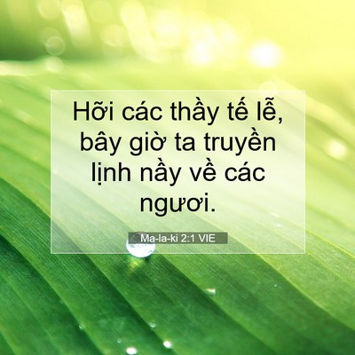 Picture 07 - Ma-la-ki 2:1 VIE - Hỡi các thầy tế lễ, bây giờ ta - Bible Verse Picture