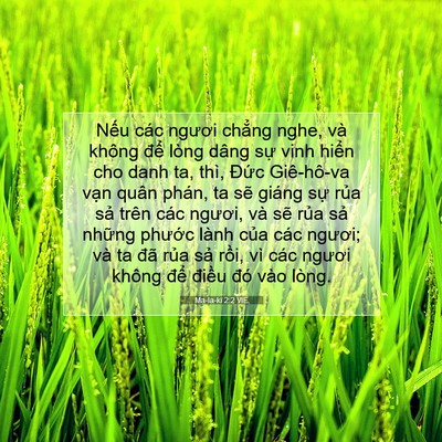 Picture 07 - Ma-la-ki 2:2 VIE - Nếu các ngươi chẳng nghe, và không để - Bible Verse Picture