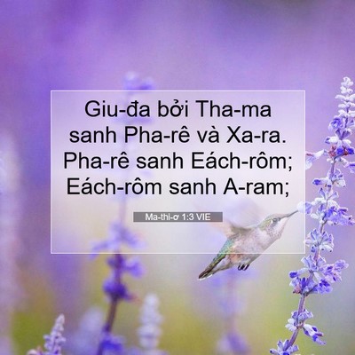 Picture 07 - Ma-thi-ơ 1:3 VIE - Giu-đa bởi Tha-ma sanh Pha-rê và Xa-ra. - Bible Verse Picture