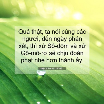 Picture 07 - Ma-thi-ơ 10:15 VIE - Quả thật, ta nói cùng các ngươi, đến - Bible Verse Picture