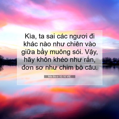 Picture 07 - Ma-thi-ơ 10:16 VIE - Kìa, ta sai các ngươi đi khác nào như - Bible Verse Picture