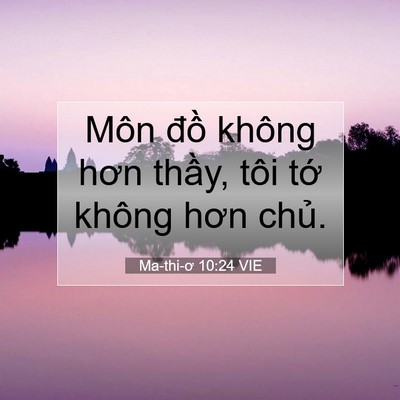 Picture 07 - Ma-thi-ơ 10:24 VIE - Môn đồ không hơn thầy, tôi tớ không - Bible Verse Picture