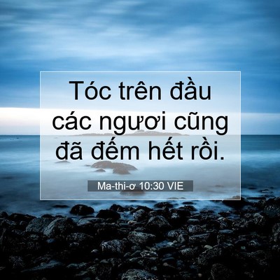 Picture 07 - Ma-thi-ơ 10:30 VIE - Tóc trên đầu các ngươi cũng đã đếm - Bible Verse Picture