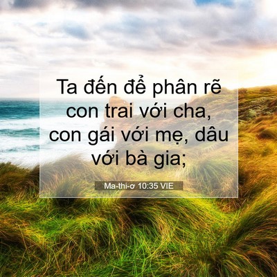 Picture 07 - Ma-thi-ơ 10:35 VIE - Ta đến để phân rẽ con trai với cha, - Bible Verse Picture